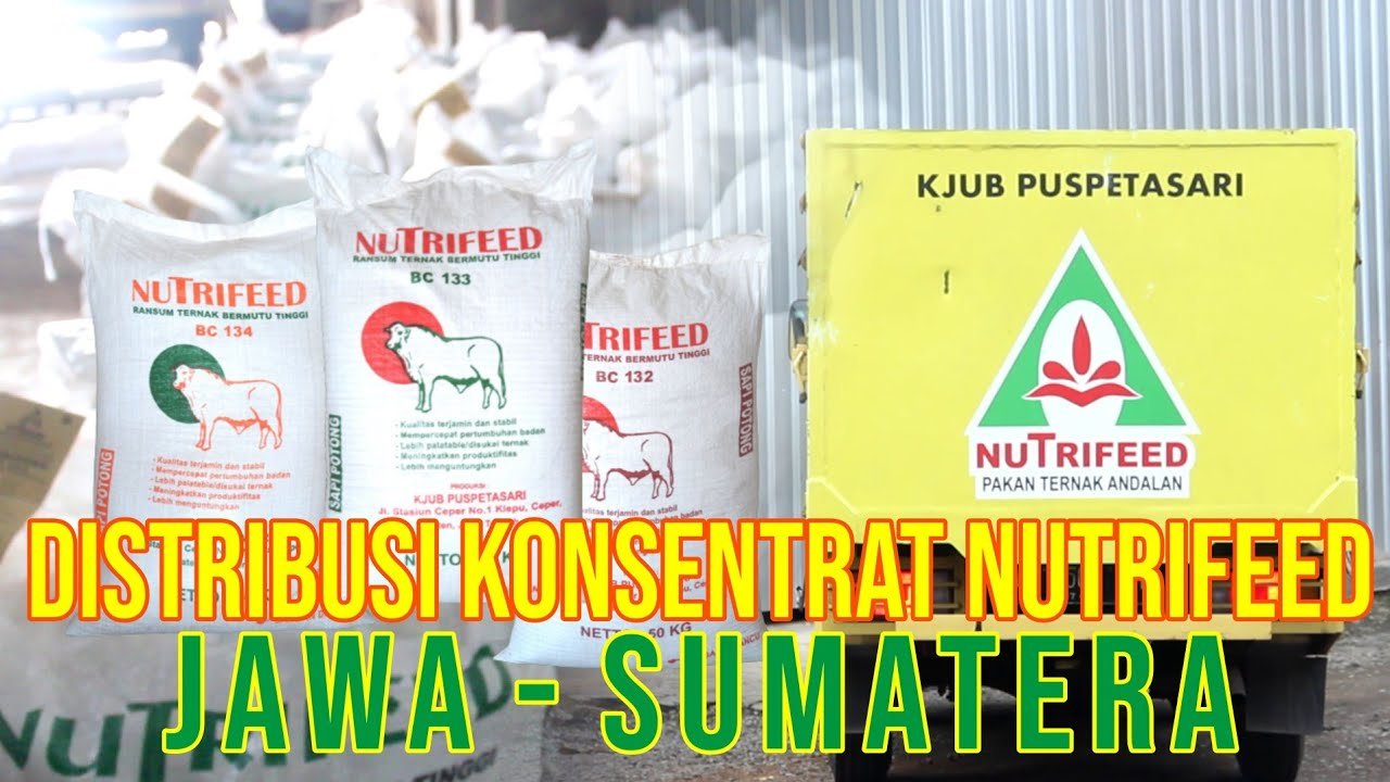 
                                 Distribusi-Konsentrat-Sapi-Nutrifeed-Pengiriman-Ke-Seluruh-Indonesia